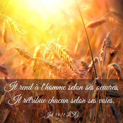Picture 03 - Job 34:11 LSG - Il rend à l'homme selon ses oeuvres, Il - Bible Verse Picture