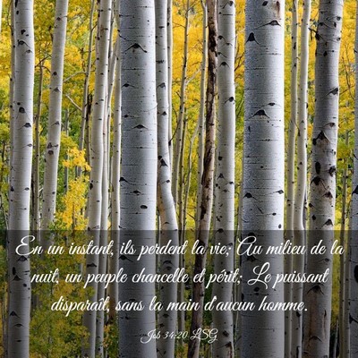 Picture 03 - Job 34:20 LSG - En un instant, ils perdent la vie; Au milieu de - Bible Verse Picture