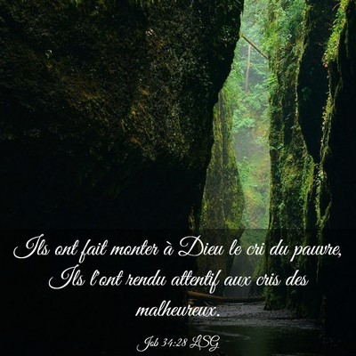Picture 03 - Job 34:28 LSG - Ils ont fait monter à Dieu le cri du pauvre, Ils - Bible Verse Picture