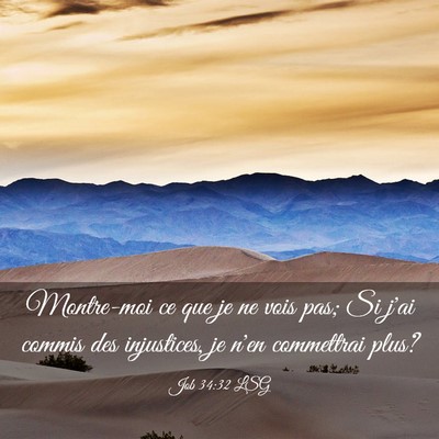 Picture 03 - Job 34:32 LSG - Montre-moi ce que je ne vois pas; Si j'ai commis - Bible Verse Picture