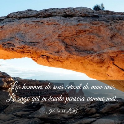 Picture 03 - Job 34:34 LSG - Les hommes de sens seront de mon avis, Le sage - Bible Verse Picture