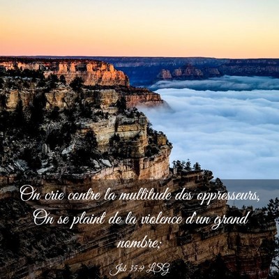 Picture 03 - Job 35:9 LSG - On crie contre la multitude des oppresseurs, On - Bible Verse Picture