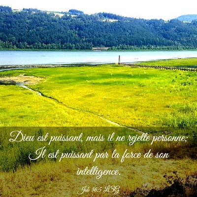 Picture 03 - Job 36:5 LSG - Dieu est puissant, mais il ne rejette personne; - Bible Verse Picture