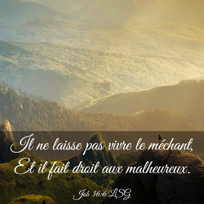 Picture 03 - Job 36:6 LSG - Il ne laisse pas vivre le méchant, Et il fait - Bible Verse Picture