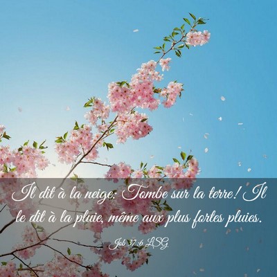 Picture 03 - Job 37:6 LSG - Il dit à la neige: Tombe sur la terre! Il le dit - Bible Verse Picture