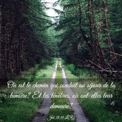 Picture 03 - Job 38:19 LSG - Où est le chemin qui conduit au séjour de la - Bible Verse Picture