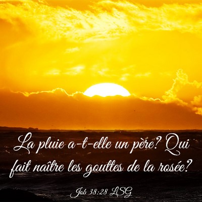 Picture 03 - Job 38:28 LSG - La pluie a-t-elle un père? Qui fait naître les - Bible Verse Picture