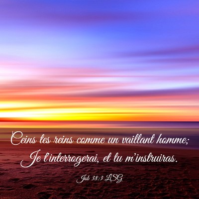 Picture 03 - Job 38:3 LSG - Ceins tes reins comme un vaillant homme; Je - Bible Verse Picture