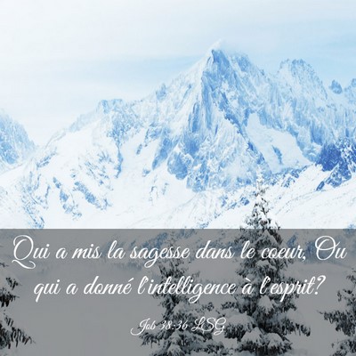 Picture 03 - Job 38:36 LSG - Qui a mis la sagesse dans le coeur, Ou qui a - Bible Verse Picture