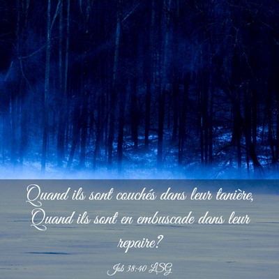 Picture 03 - Job 38:40 LSG - Quand ils sont couchés dans leur tanière, Quand - Bible Verse Picture
