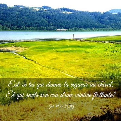 Picture 03 - Job 39:19 LSG - Est-ce toi qui donnes la vigueur au cheval, Et - Bible Verse Picture