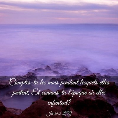 Picture 03 - Job 39:2 LSG - Comptes-tu les mois pendant lesquels elles - Bible Verse Picture