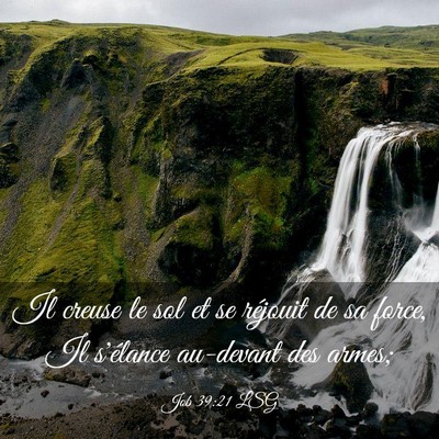 Picture 03 - Job 39:21 LSG - Il creuse le sol et se réjouit de sa force, Il - Bible Verse Picture