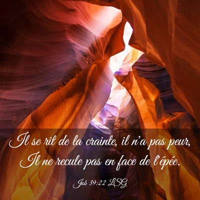 Picture 03 - Job 39:22 LSG - Il se rit de la crainte, il n'a pas peur, Il ne - Bible Verse Picture