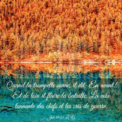 Picture 03 - Job 39:25 LSG - Quand la trompette sonne, il dit: En avant! Et de - Bible Verse Picture