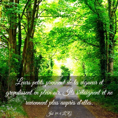 Picture 03 - Job 39:4 LSG - Leurs petits prennent de la vigueur et - Bible Verse Picture