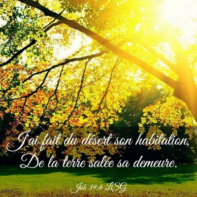 Picture 03 - Job 39:6 LSG - J'ai fait du désert son habitation, De la terre - Bible Verse Picture