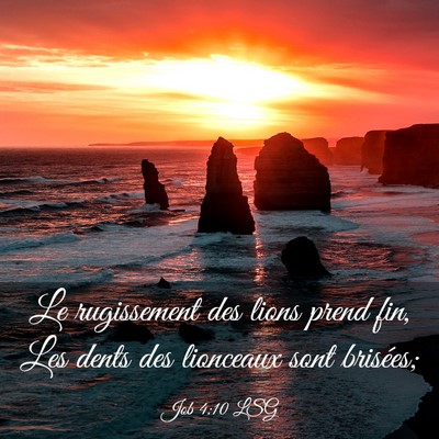 Picture 03 - Job 4:10 LSG - Le rugissement des lions prend fin, Les dents des - Bible Verse Picture