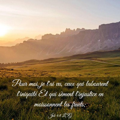 Picture 03 - Job 4:8 LSG - Pour moi, je l'ai vu, ceux qui labourent - Bible Verse Picture