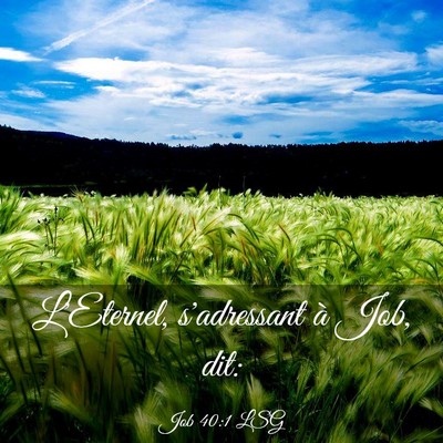 Picture 03 - Job 40:1 LSG - L'Eternel, s'adressant à Job, - Bible Verse Picture