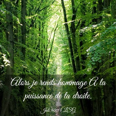 Picture 03 - Job 40:14 LSG - Alors je rends hommage A la puissance de ta - Bible Verse Picture