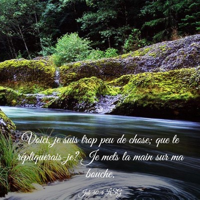 Picture 03 - Job 40:4 LSG - Voici, je suis trop peu de chose; que te - Bible Verse Picture