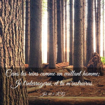 Picture 03 - Job 40:7 LSG - Ceins tes reins comme un vaillant homme; Je - Bible Verse Picture