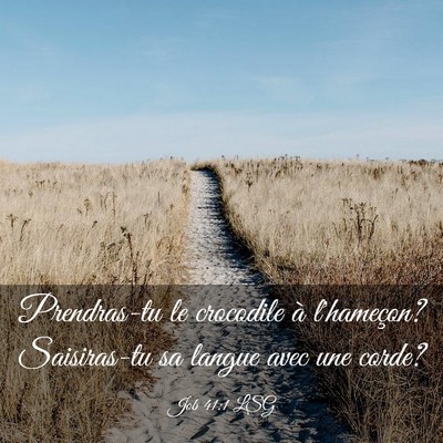 Picture 03 - Job 41:1 LSG - Prendras-tu le crocodile à l'hameçon? - Bible Verse Picture