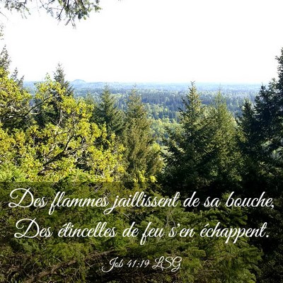 Picture 03 - Job 41:19 LSG - Des flammes jaillissent de sa bouche, Des - Bible Verse Picture