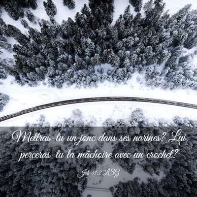 Picture 03 - Job 41:2 LSG - Mettras-tu un jonc dans ses narines? Lui - Bible Verse Picture
