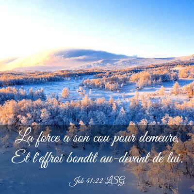 Picture 03 - Job 41:22 LSG - La force a son cou pour demeure, Et l'effroi - Bible Verse Picture