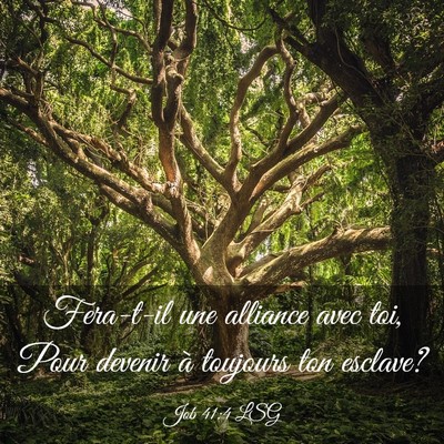 Picture 03 - Job 41:4 LSG - Fera-t-il une alliance avec toi, Pour devenir à - Bible Verse Picture