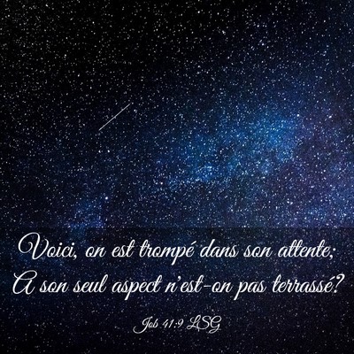 Picture 03 - Job 41:9 LSG - Voici, on est trompé dans son attente; A son - Bible Verse Picture