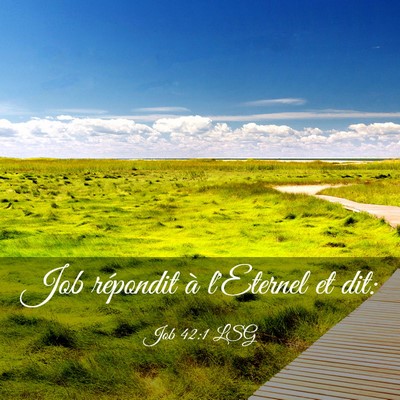 Picture 03 - Job 42:1 LSG - Job répondit à l'Eternel et - Bible Verse Picture