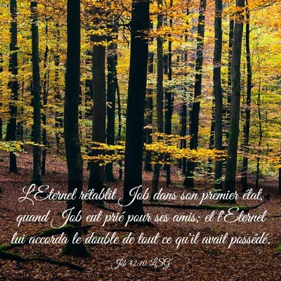 Picture 03 - Job 42:10 LSG - L'Eternel rétablit Job dans son premier état, - Bible Verse Picture