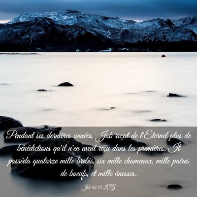 Picture 03 - Job 42:12 LSG - Pendant ses dernières années, Job reçut de - Bible Verse Picture