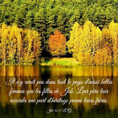 Picture 03 - Job 42:15 LSG - Il n'y avait pas dans tout le pays d'aussi belles - Bible Verse Picture