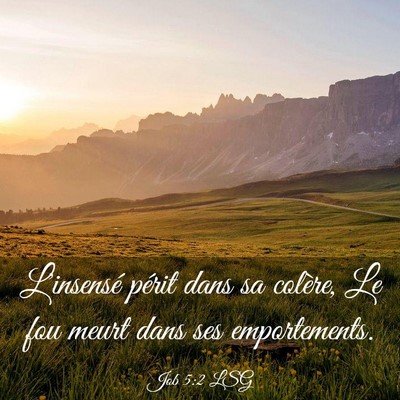 Picture 03 - Job 5:2 LSG - L'insensé périt dans sa colère, Le fou meurt - Bible Verse Picture