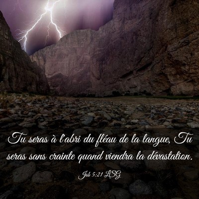 Picture 03 - Job 5:21 LSG - Tu seras à l'abri du fléau de la langue, Tu - Bible Verse Picture