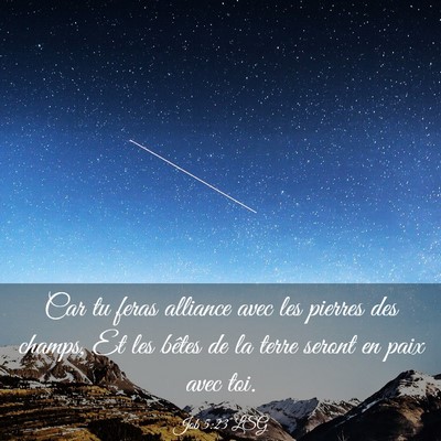 Picture 03 - Job 5:23 LSG - Car tu feras alliance avec les pierres des - Bible Verse Picture