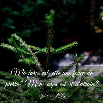 Picture 03 - Job 6:12 LSG - Ma force est-elle une force de pierre? Mon corps - Bible Verse Picture
