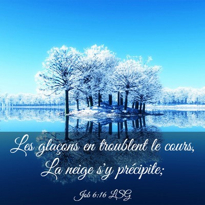 Picture 03 - Job 6:16 LSG - Les glaçons en troublent le cours, La neige s'y - Bible Verse Picture