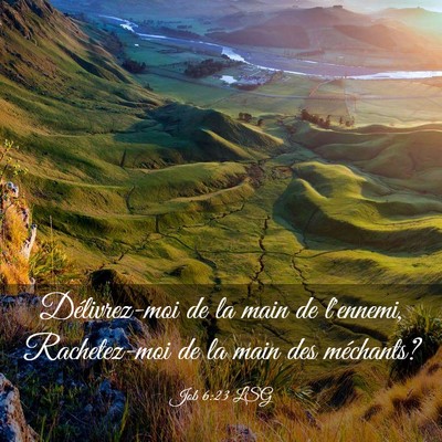 Picture 03 - Job 6:23 LSG - Délivrez-moi de la main de l'ennemi, - Bible Verse Picture