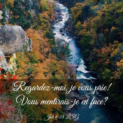 Picture 03 - Job 6:28 LSG - Regardez-moi, je vous prie! Vous mentirais-je en - Bible Verse Picture