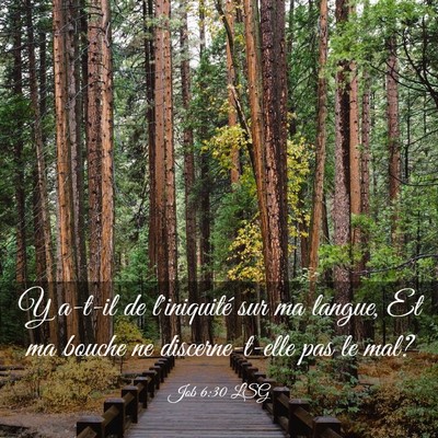 Picture 03 - Job 6:30 LSG - Y a-t-il de l'iniquité sur ma langue, Et ma - Bible Verse Picture