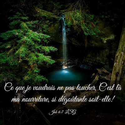 Picture 03 - Job 6:7 LSG - Ce que je voudrais ne pas toucher, C'est là ma - Bible Verse Picture