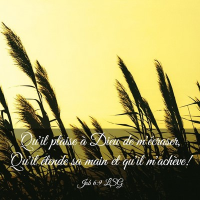 Picture 03 - Job 6:9 LSG - Qu'il plaise à Dieu de m'écraser, Qu'il étende - Bible Verse Picture