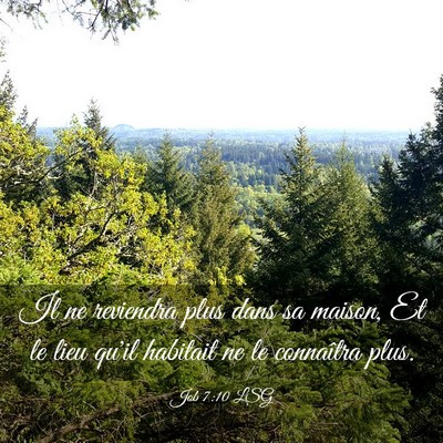 Picture 03 - Job 7:10 LSG - Il ne reviendra plus dans sa maison, Et le lieu - Bible Verse Picture