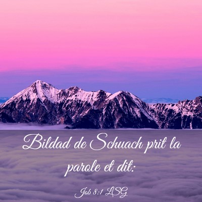 Picture 03 - Job 8:1 LSG - Bildad de Schuach prit la parole et - Bible Verse Picture