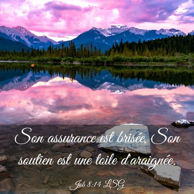 Picture 03 - Job 8:14 LSG - Son assurance est brisée, Son soutien est une - Bible Verse Picture